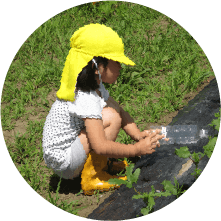 当園への入園をご希望の方