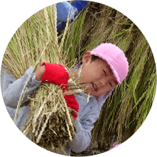 当園への入園をご希望の方